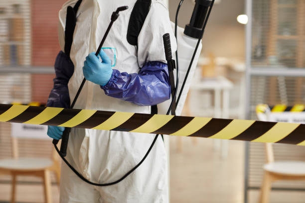 Professional Sewage Cleanup technician working in Valmy, NV